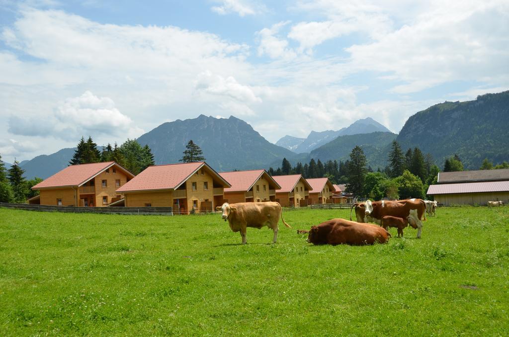 Feriendorf Am Hahnenkamm ロイテ エクステリア 写真